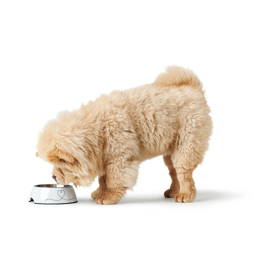 V2H55CE0D1173B49588111DC2E7E3D6B1A2R5574398P2