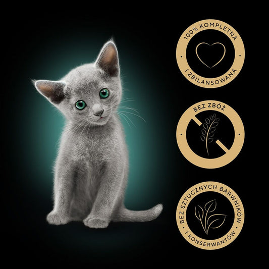 V3HBFDB6F56A85E896DFBF831928DDFA13FR4903945P2