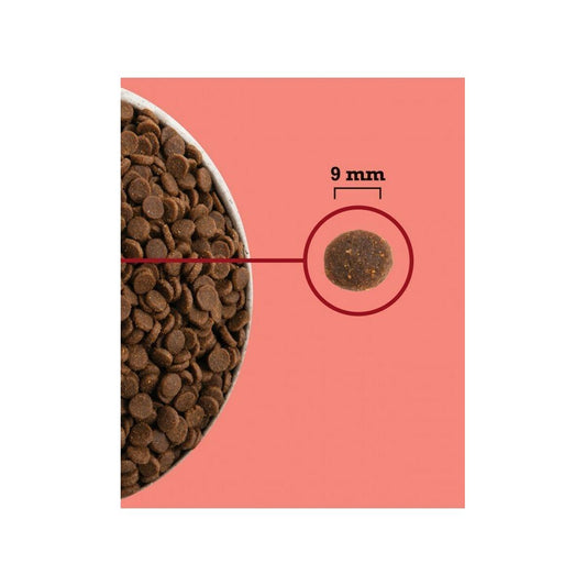 V2H4B3F01347735F89AE93C8688B534D1BAR5851843P2