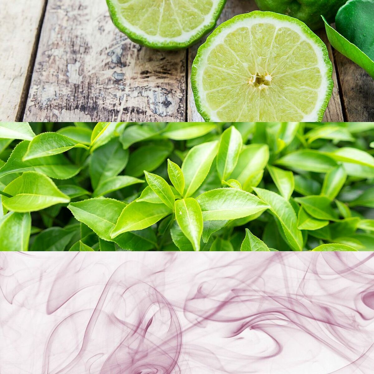 V10HFFC9B638374D44A0CAE5F74CDD44EA41R3644007P5