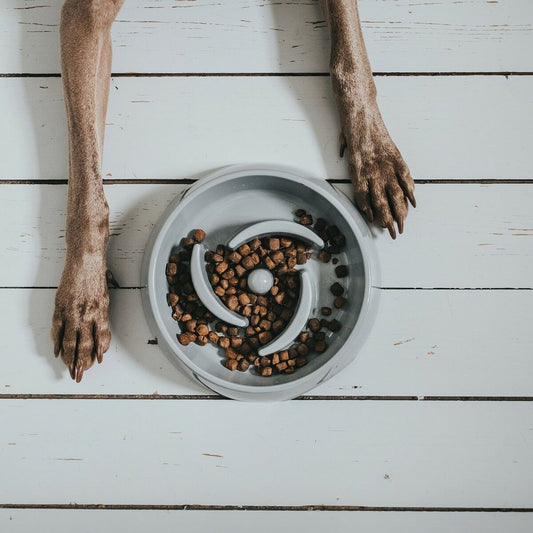 V10HFCCA4FA95A27357EDD1D52130084D1C3R3618534P2