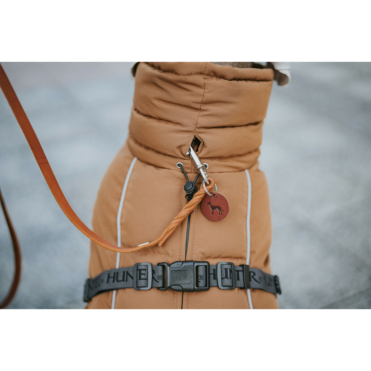 V2HE3C18EC507A087BAB595B6178FEA33B8R5575984P7