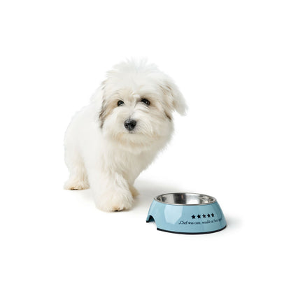 V2H33968AD0F8053CF260D91E62A5A61291R5574410P4