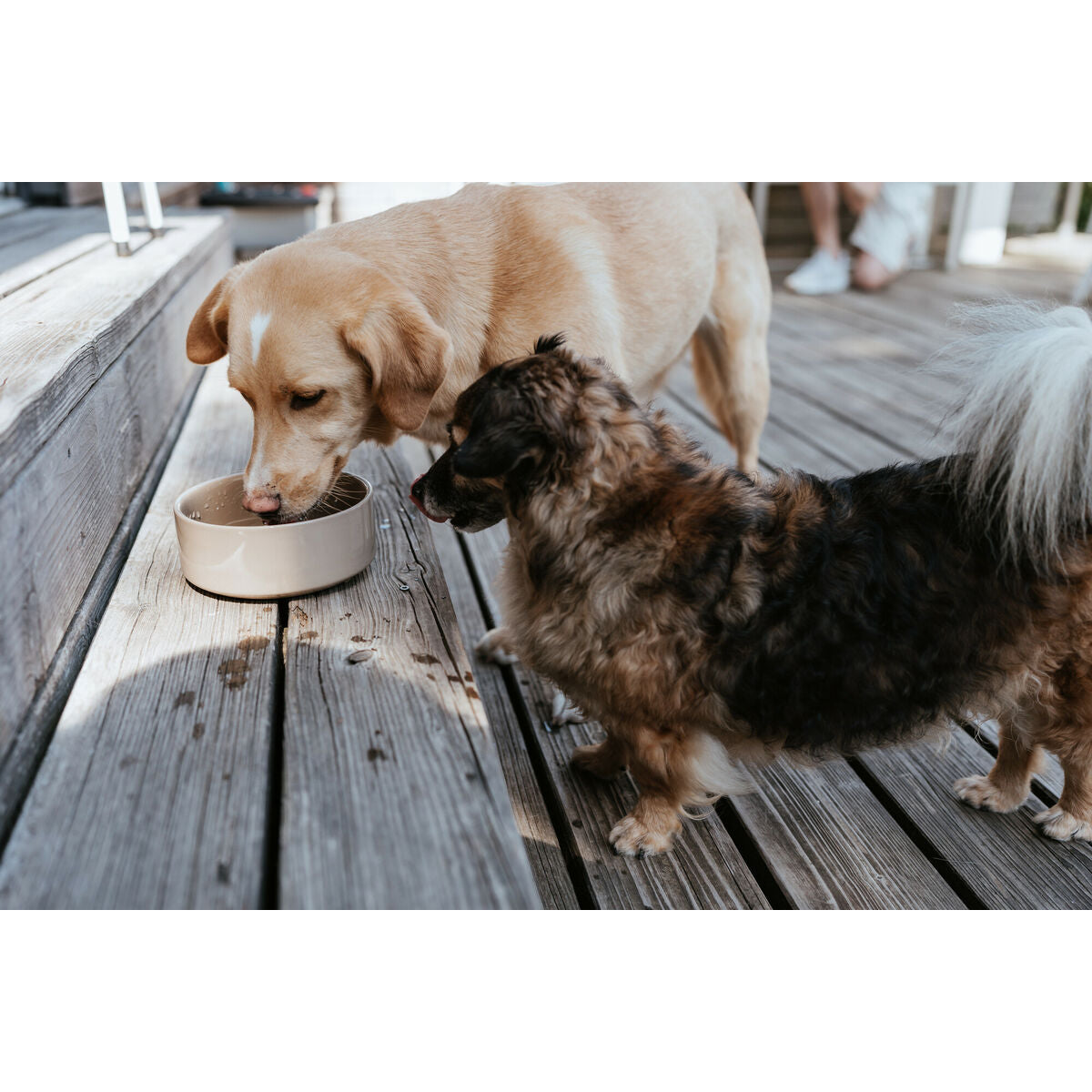 V2H48B990B448008D809874CEACF8E38F3DR5574348P4