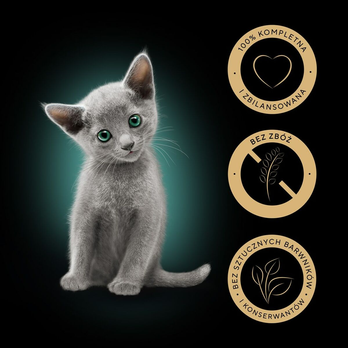 V3HBFDB6F56A85E896DFBF831928DDFA13FR4903945P2