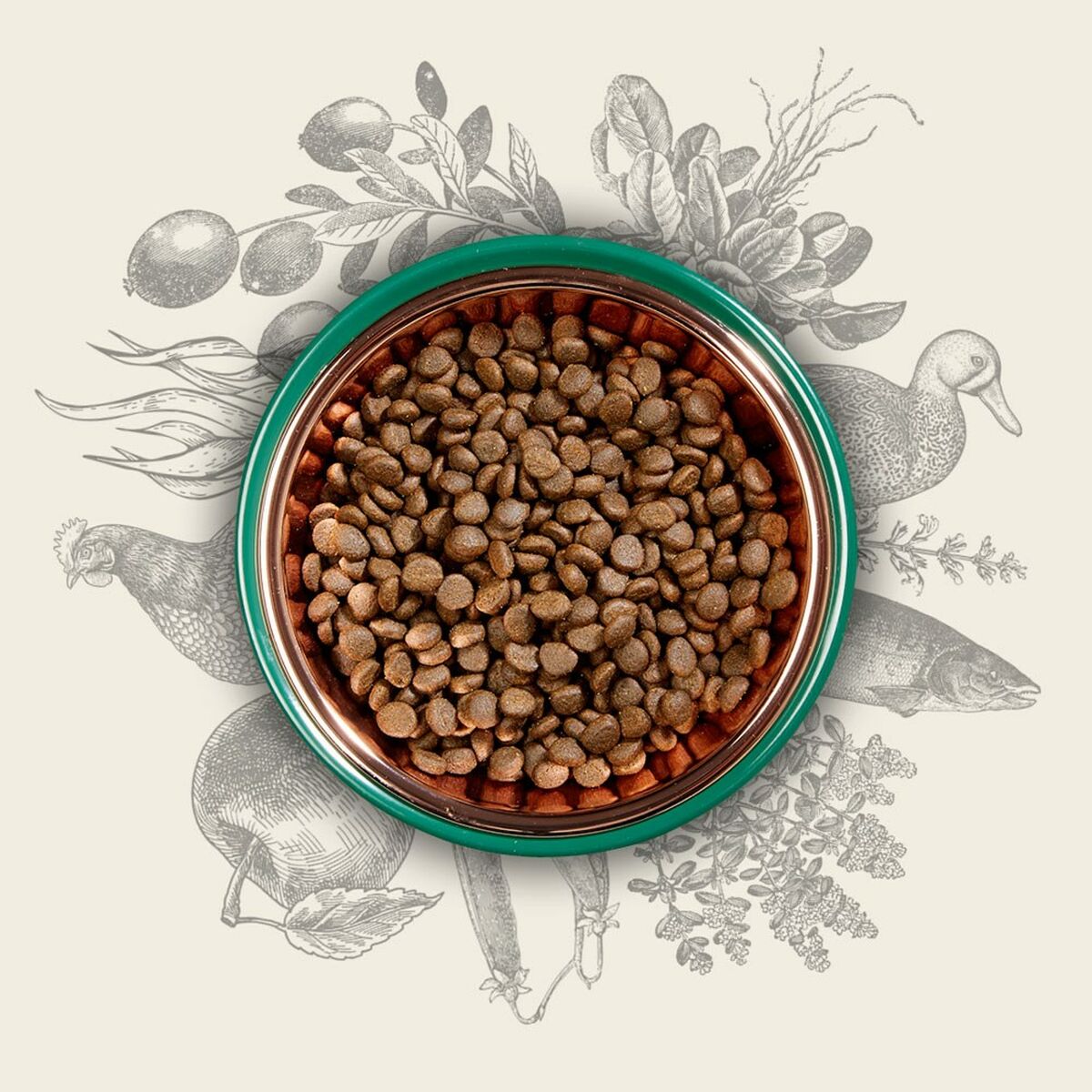 V2H6BF2CF59A1FED9A4A6EE3B7886747014R5624064P4