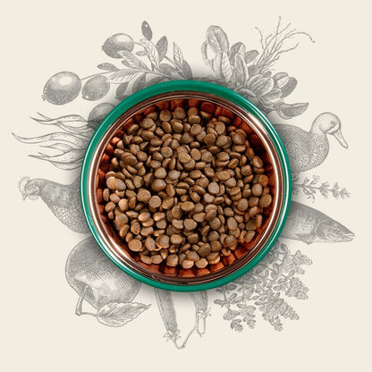 V2H6BF2CF59A1FED9A4A6EE3B7886747014R5624064P4