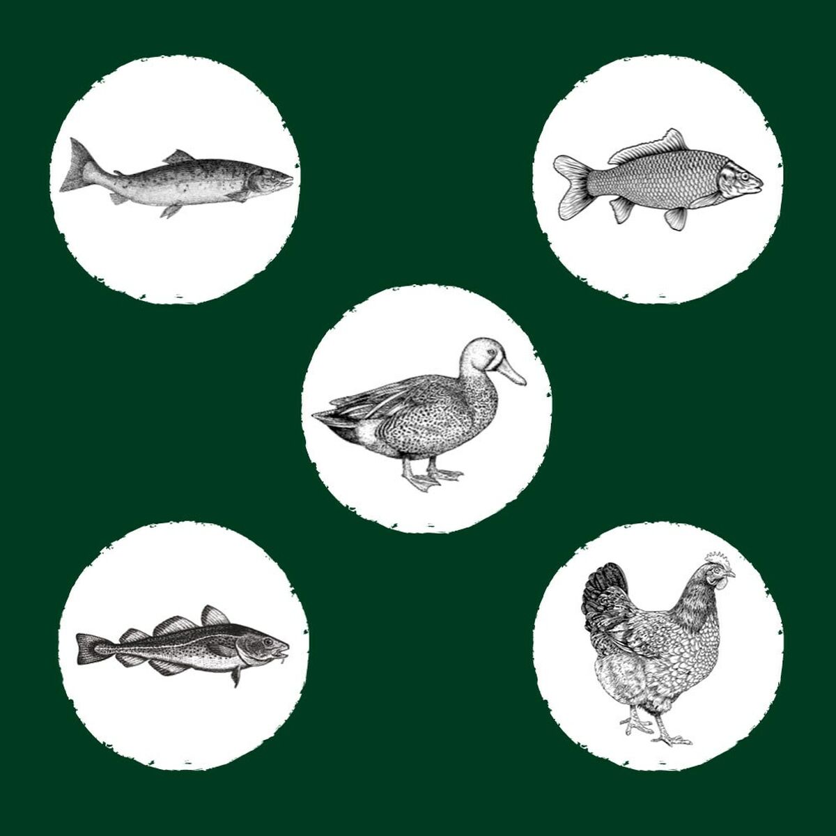 V2HF24B58C6A5F02C706BDAB625533B1026R5624066P6