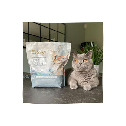 V2H64159AF3AD48A1A8D5FFB692A83CF88AR5624090P4