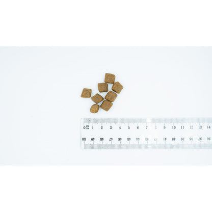 V2H42006398980A09FF6AF9E8B28270CCB2R5624560P2