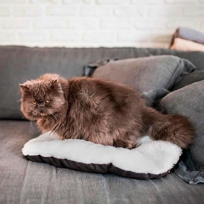 V2H799577573EDA557911DFD6C6AF30FC6DR5780207P4