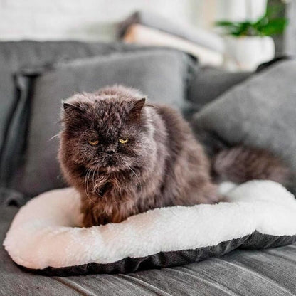 V2H54A7B159734F9FC1FE9B72F7974C96FFR5780209P5