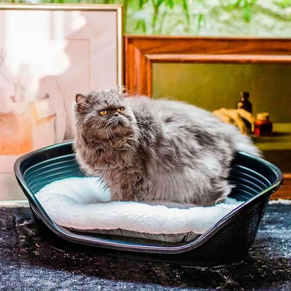 V2H001EB024E0AAFE834D74A29922E2F77AR5780211P6