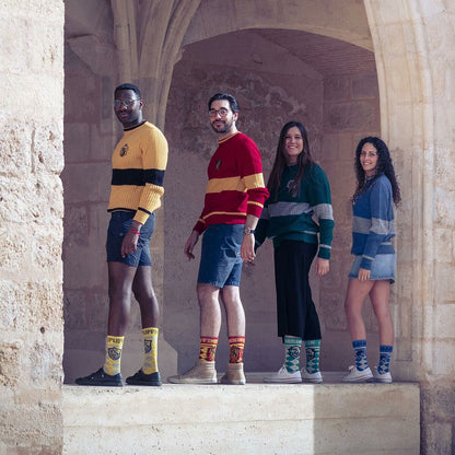 V3H6AB6F951C5FADBFACC600C492A92104DR4591793P6