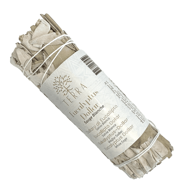 Fagot de Sauge Blanche & Eucalyptus Dollar 10cm – 25-30g